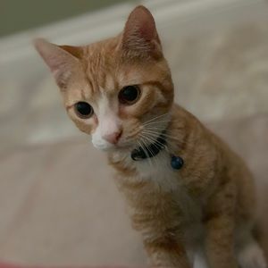 Meet your Posher, Kristie